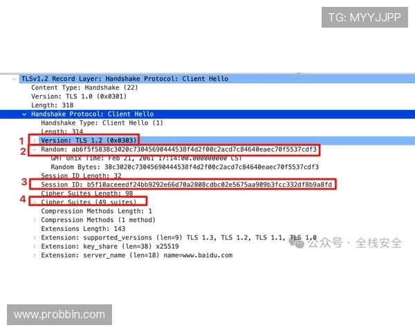 详细解析BBIN地址登录入口的安全性与防止账号被盗的实用技巧