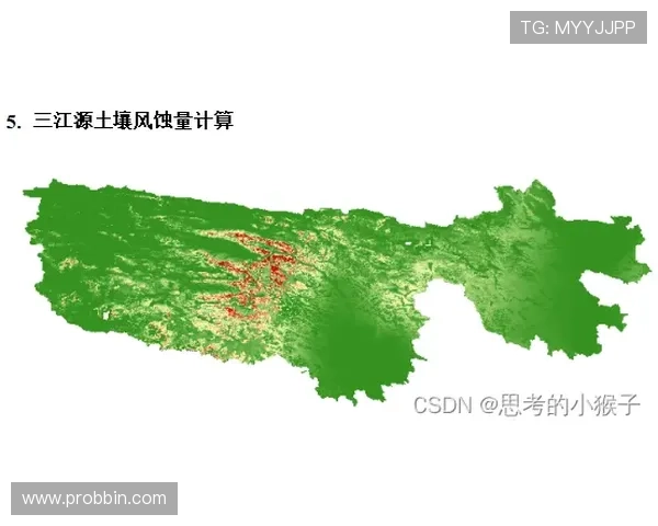 厄瓜多尔对库拉索比赛战术变化及其对比赛结果的影响分析